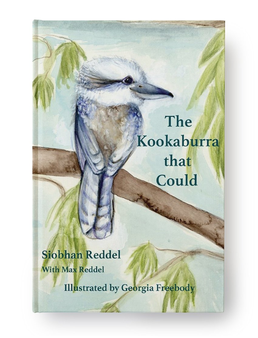 Kookaburra Universal Cover.jpg