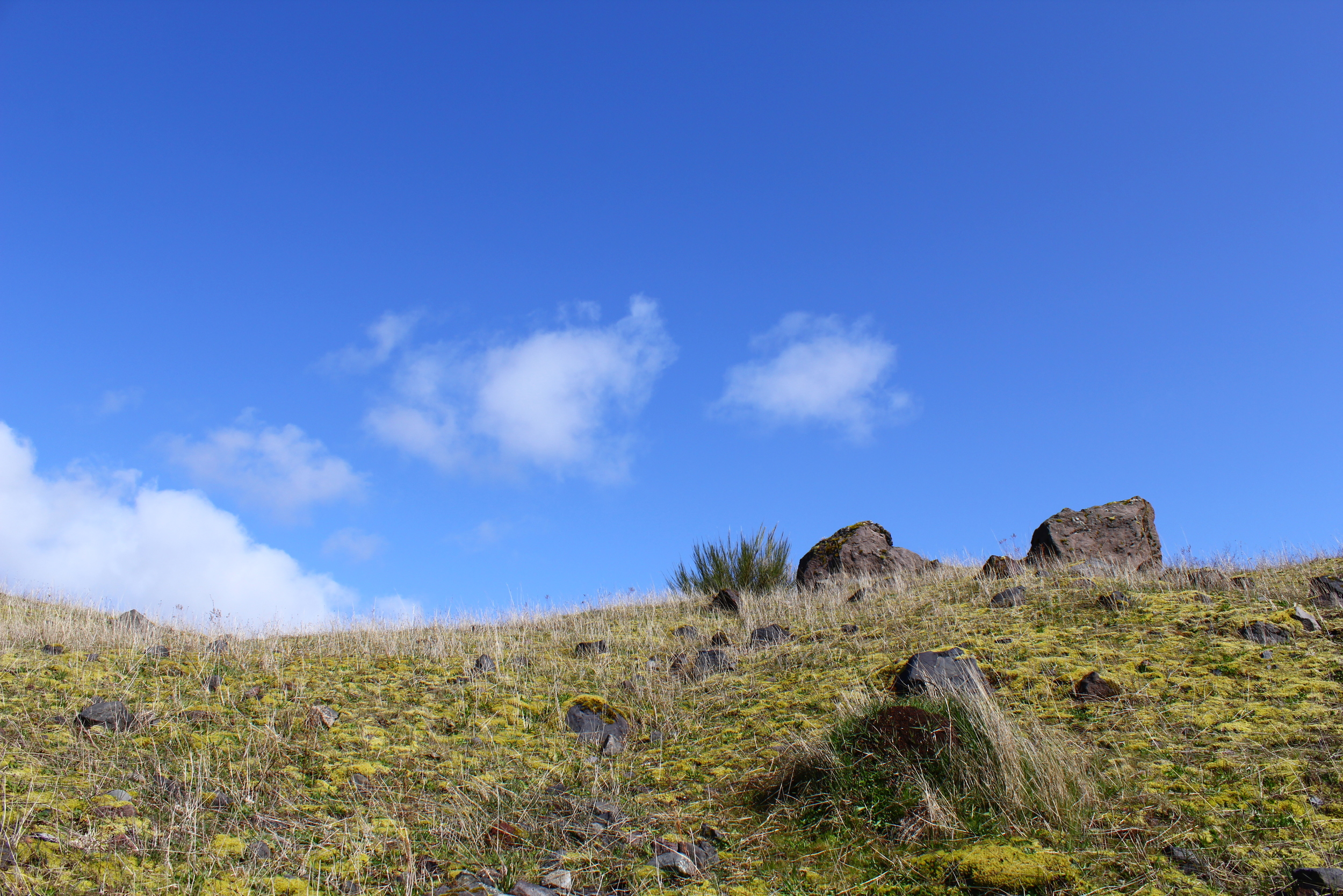 HIKING MOUNT ST. HELENS