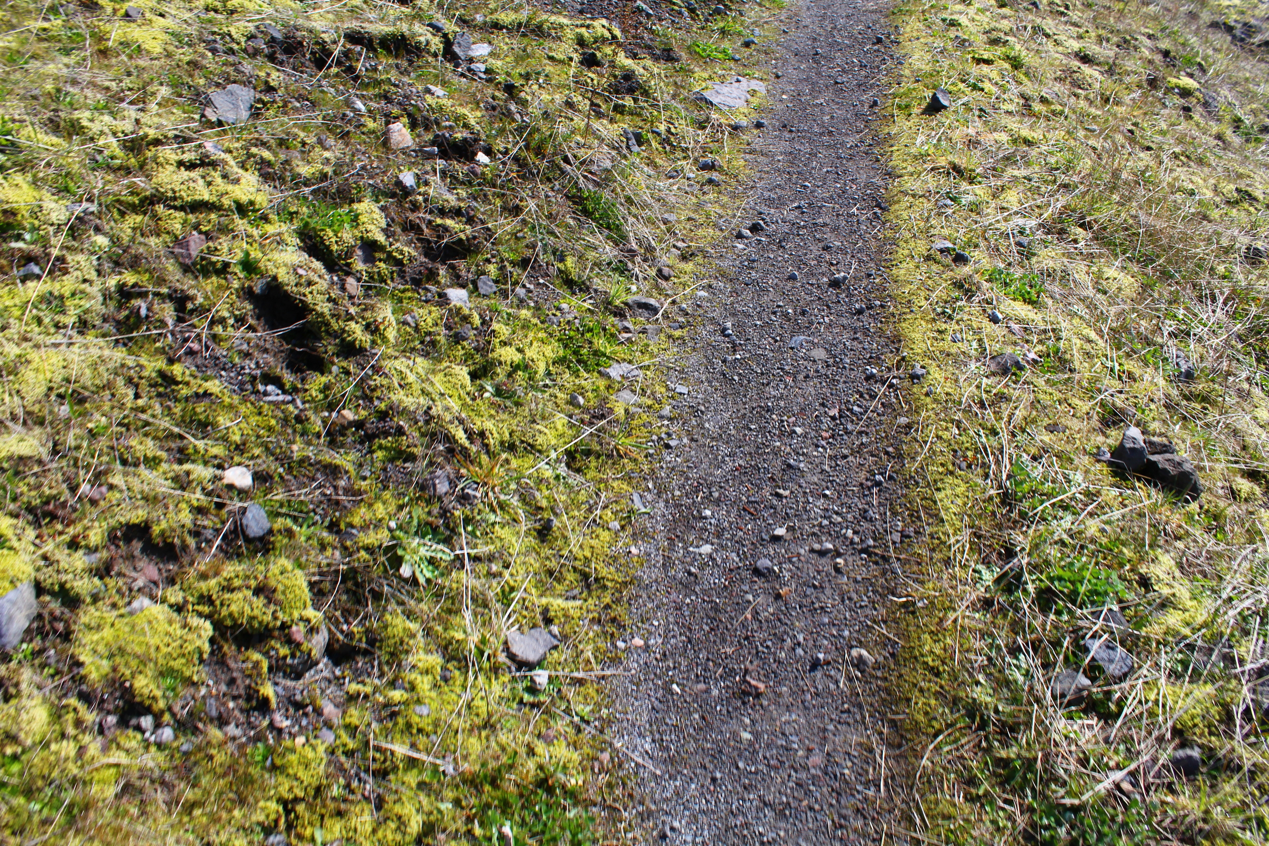 HIKING MOUNT ST. HELENS