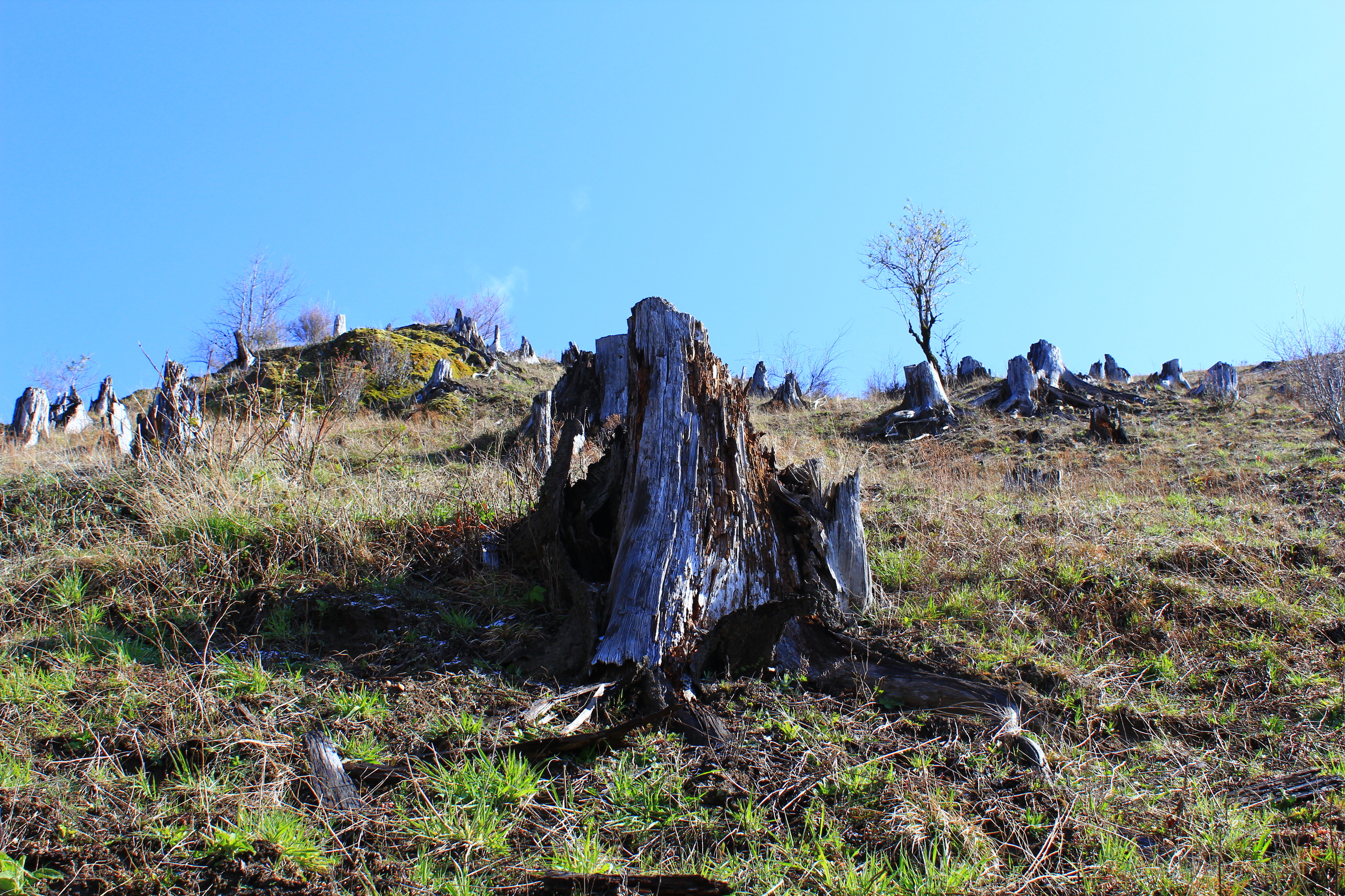 HIKING MOUNT ST. HELENS