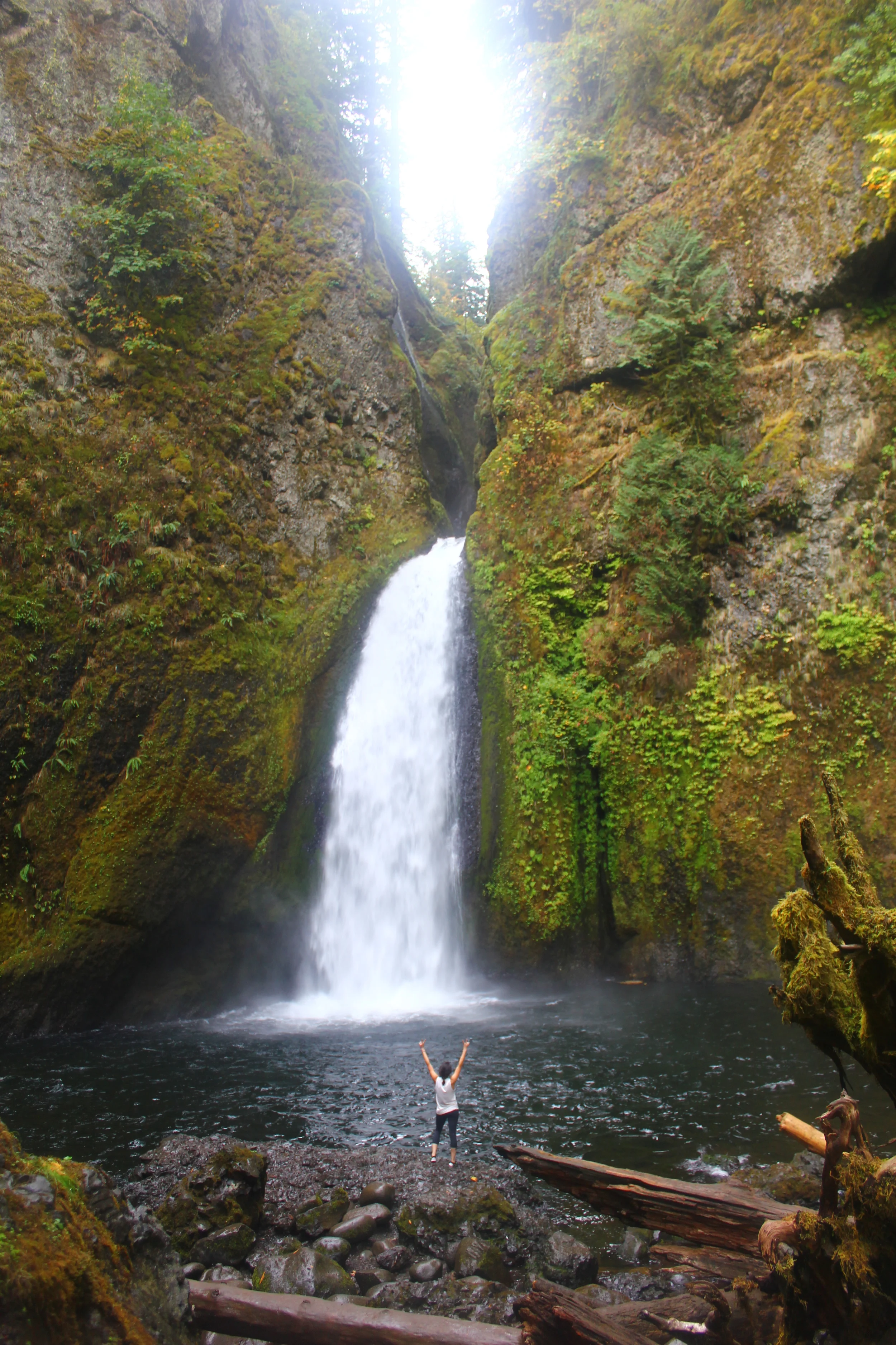 WAHCLELLA FALLS WATERFALL HIKE