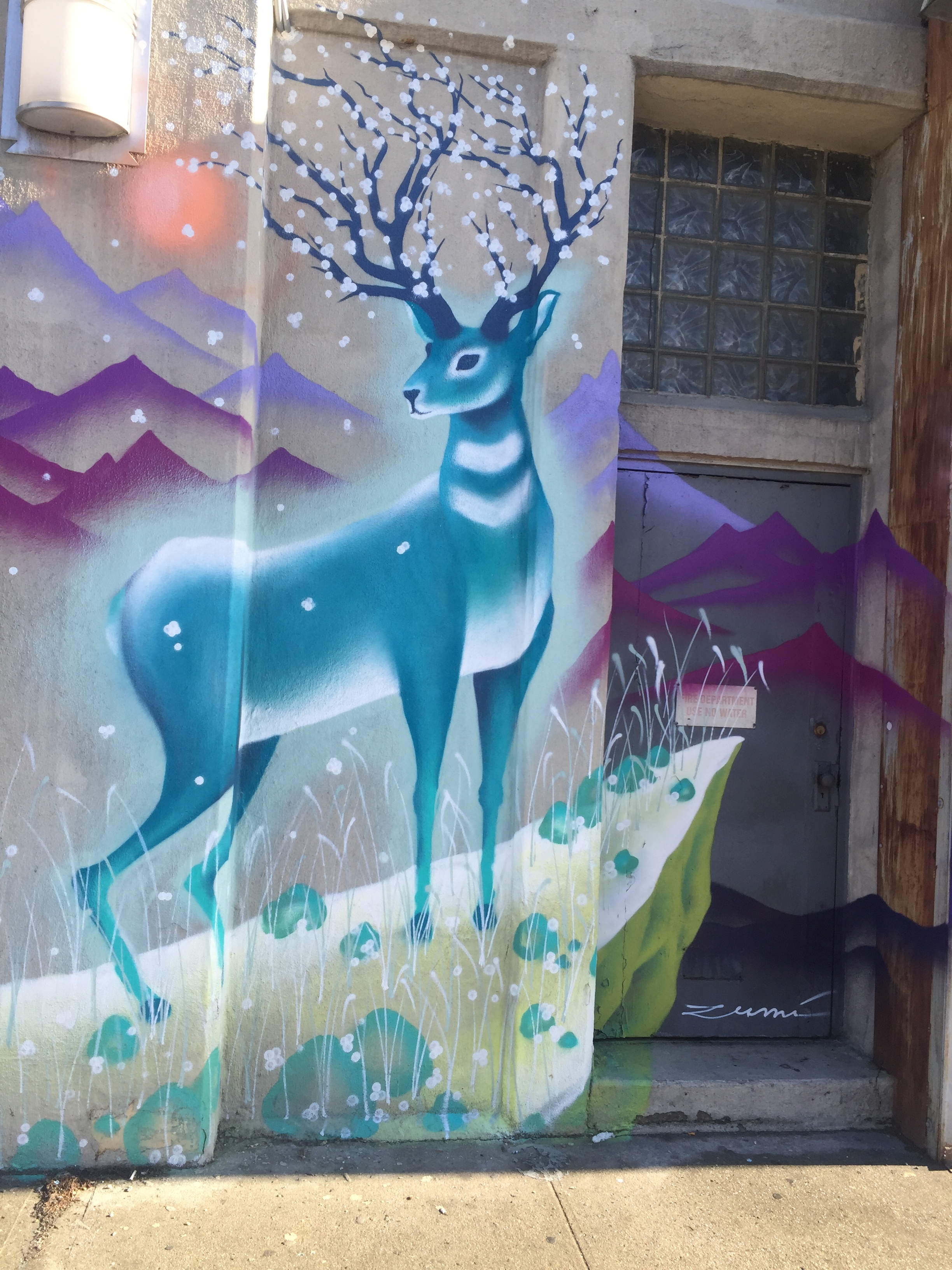 LIC street art by Marina Zumi .