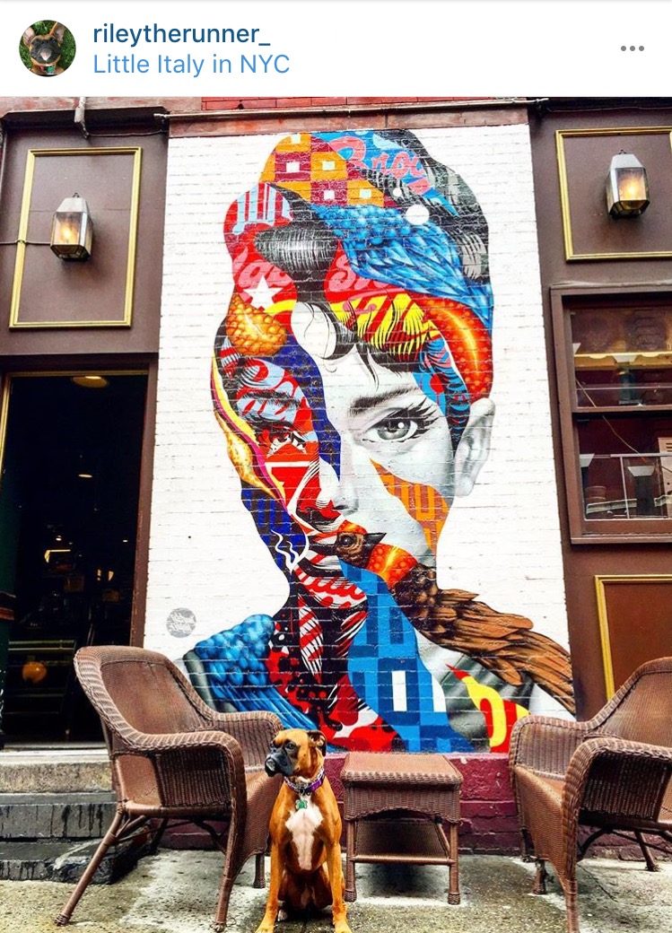 Congrats to @rileytherunner_ on tying for first place in the #SohoArtRun photo contest! Mural by Tristan Eaton .