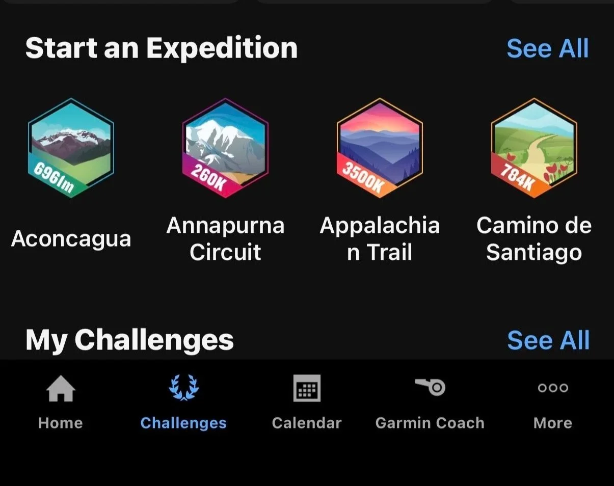 Garmin connect running app