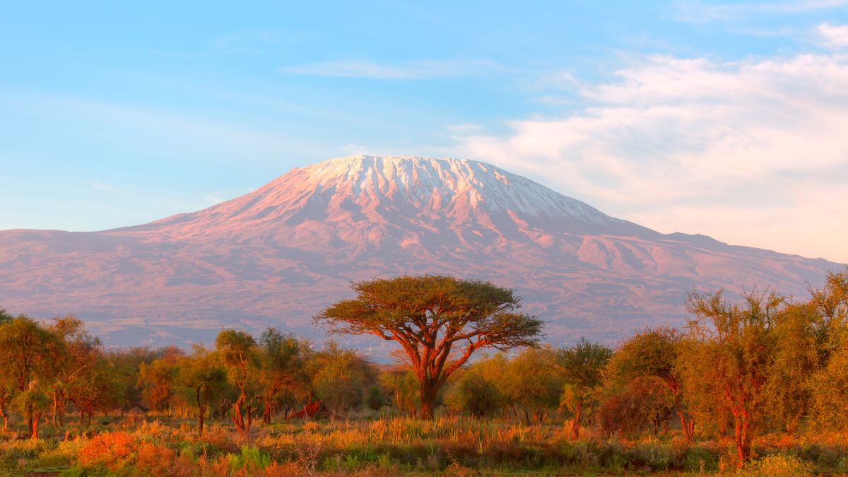 best half marathons mount kilimanjaro