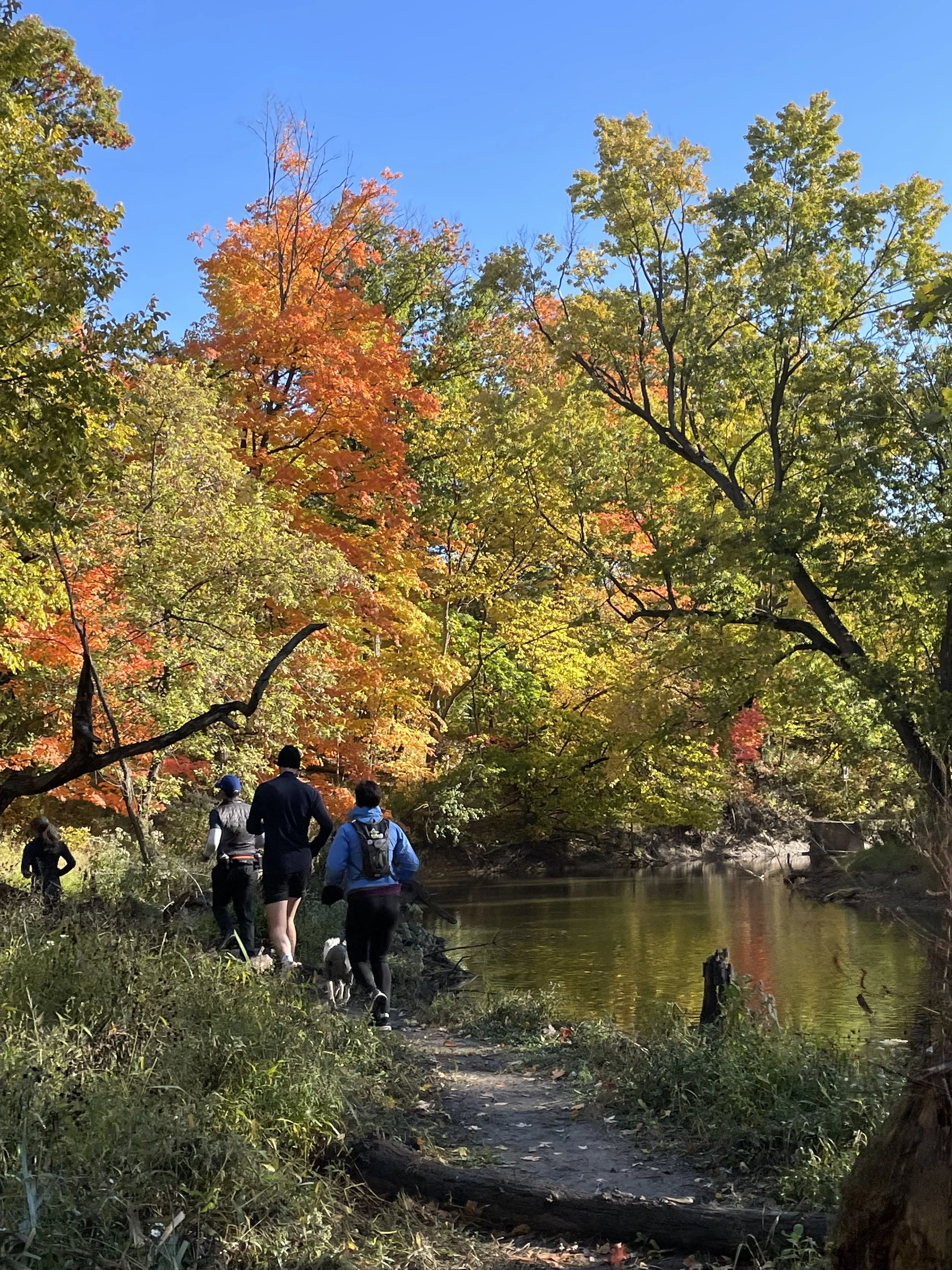 15 Best Places to Run in Chicago — Runstreet