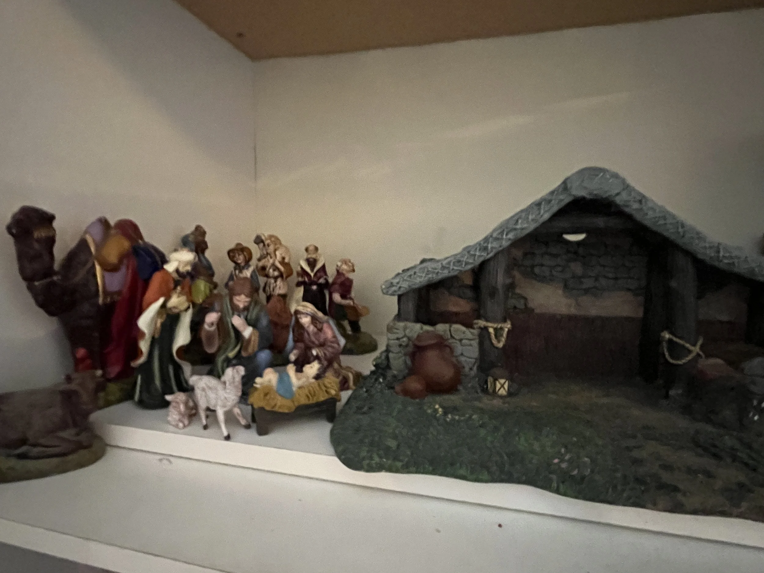 IMG_5570.JPG