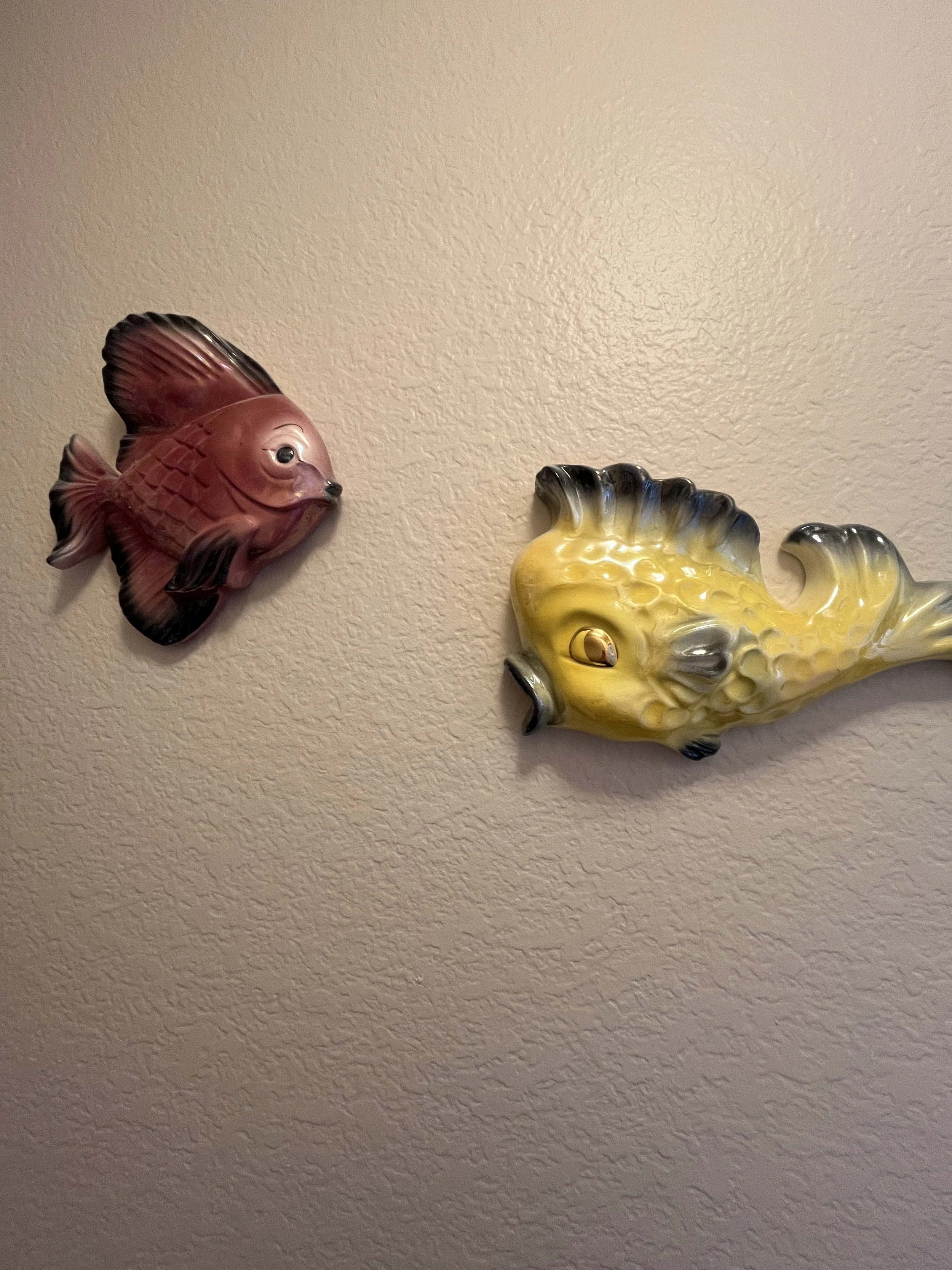 IMG_6699.JPG