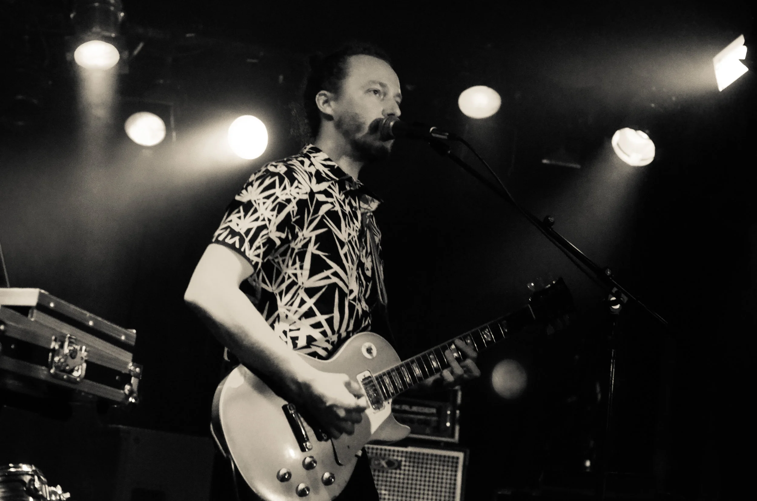 TheSometimesIsland_ViperRoom13.jpg