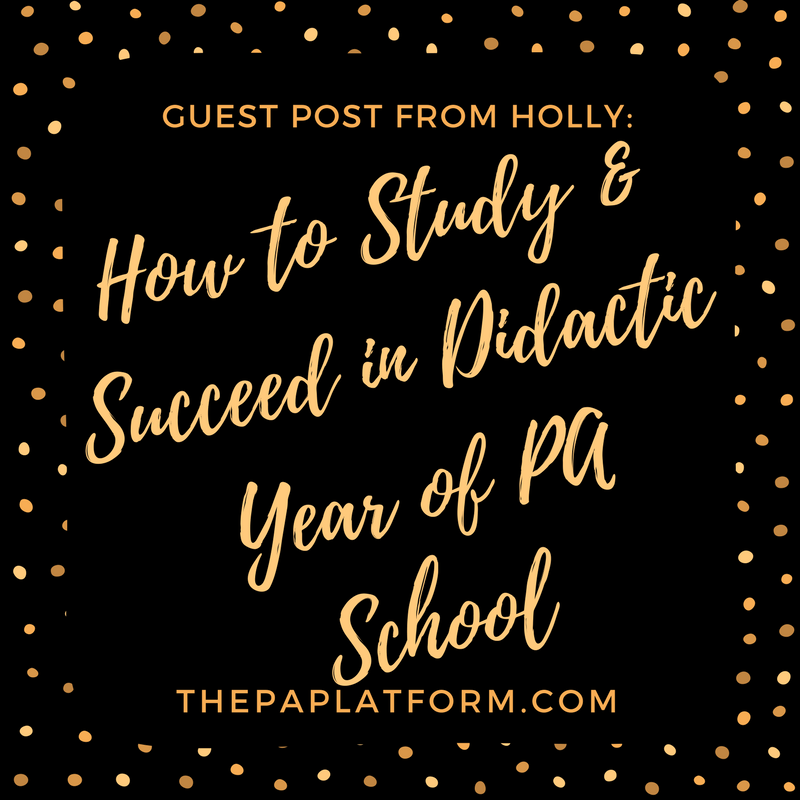 Guest Post from Holly How To Study and Succeed in Didactic Year of PA