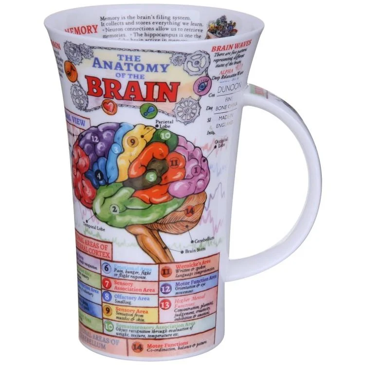 dunoon-glencoe-the-brain-13_750x.jpg