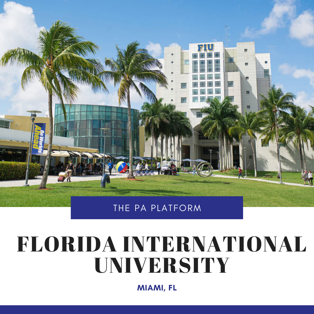florida international university phd programs