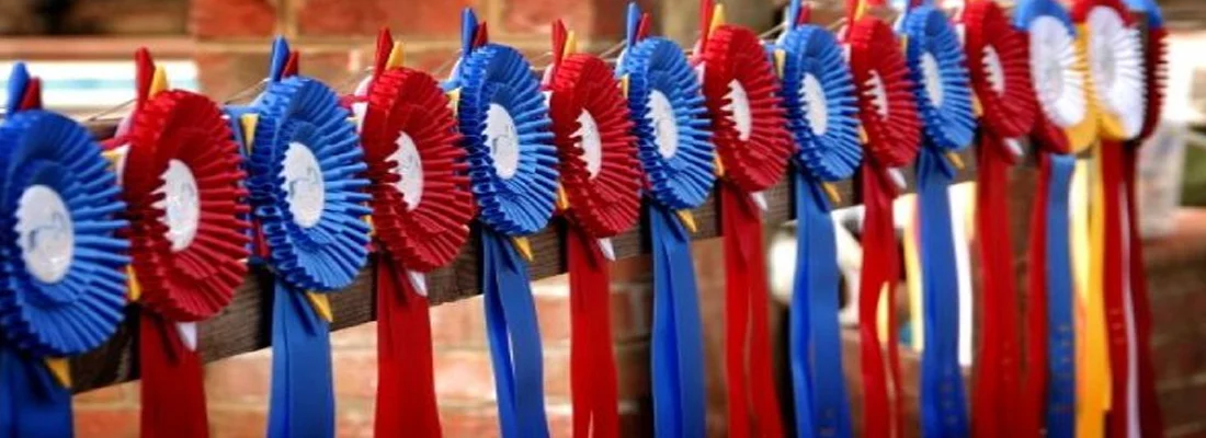 RIBBONS.jpg