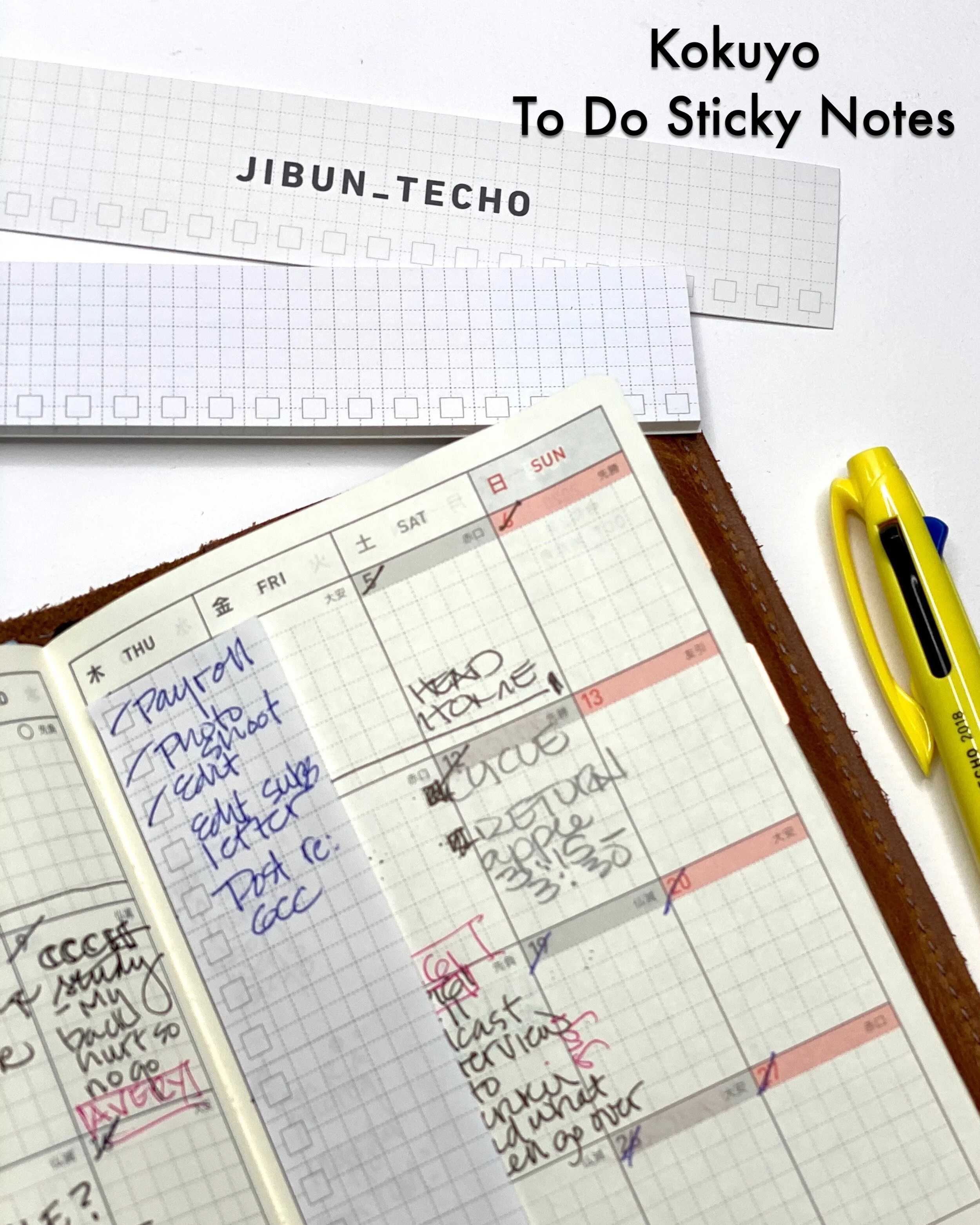 JPEG image-8484D9F511E0-1.jpeg