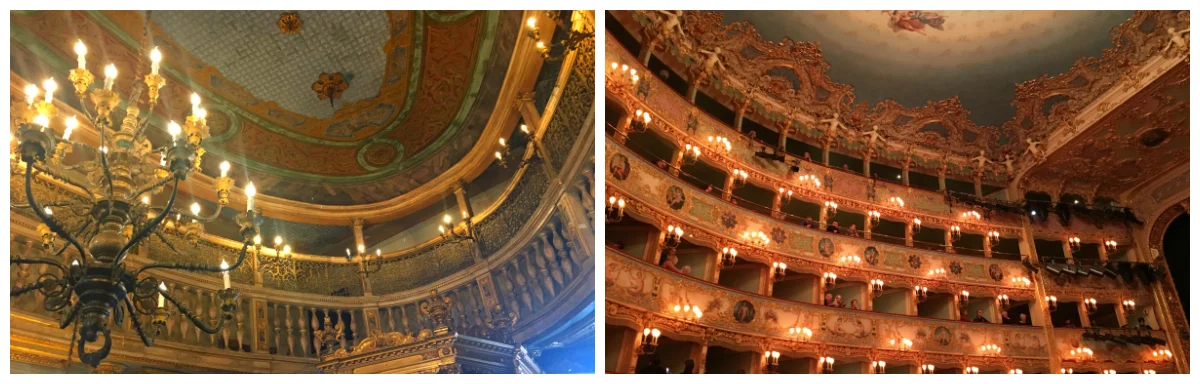 Tedesca-Fenice.jpg