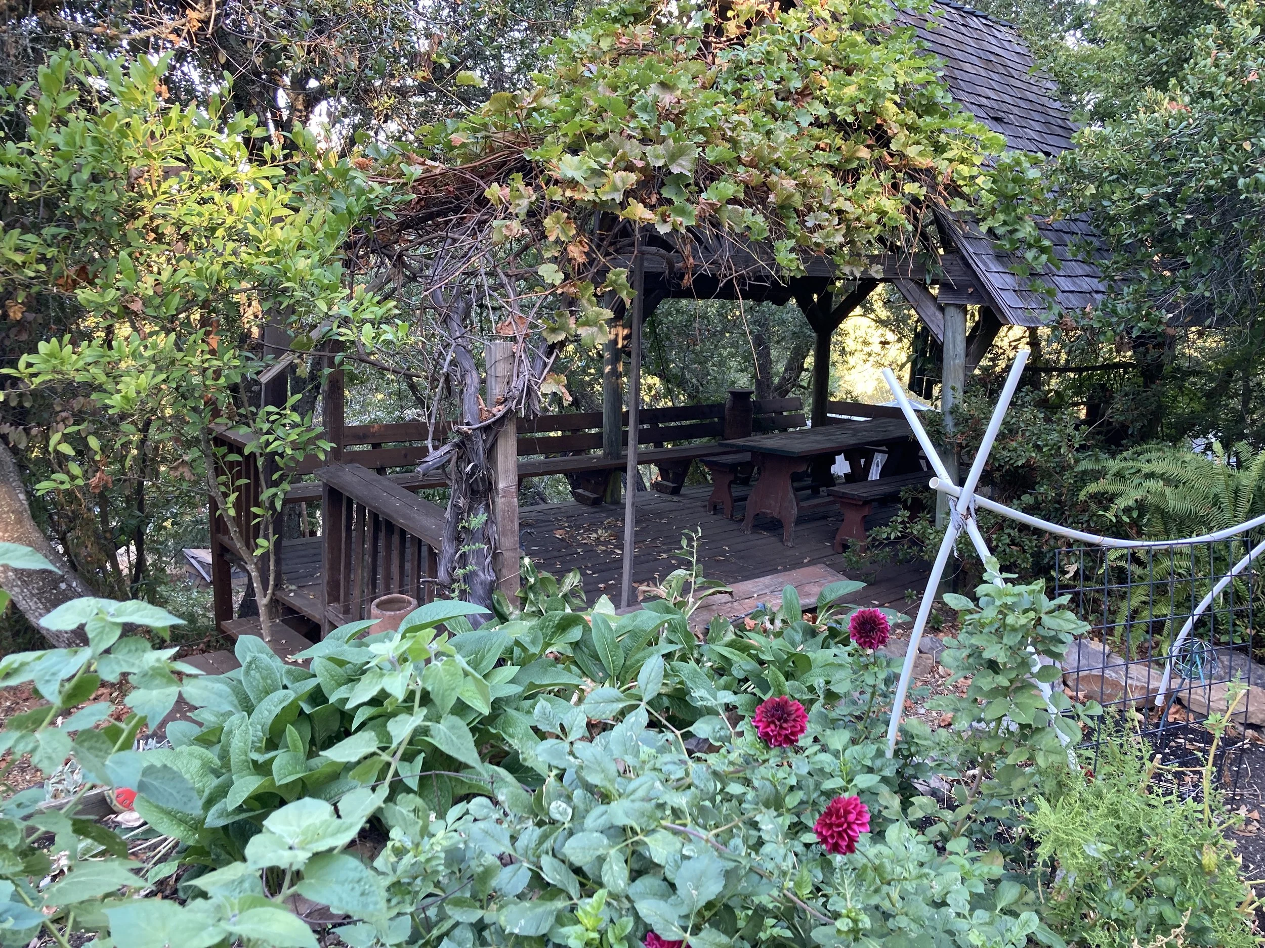 The "summer house." (Copy)