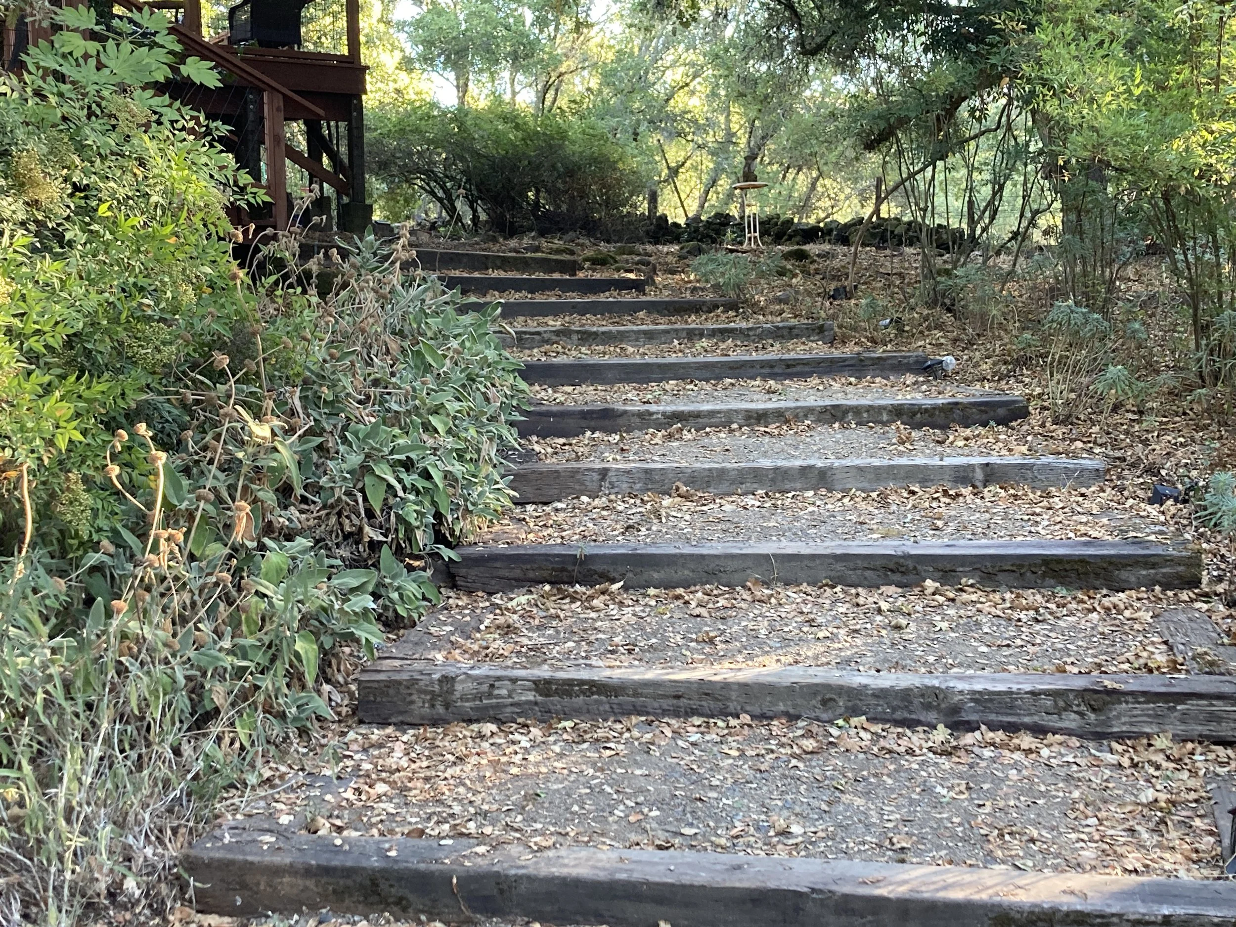 Steps to the Hill House. (Copy)