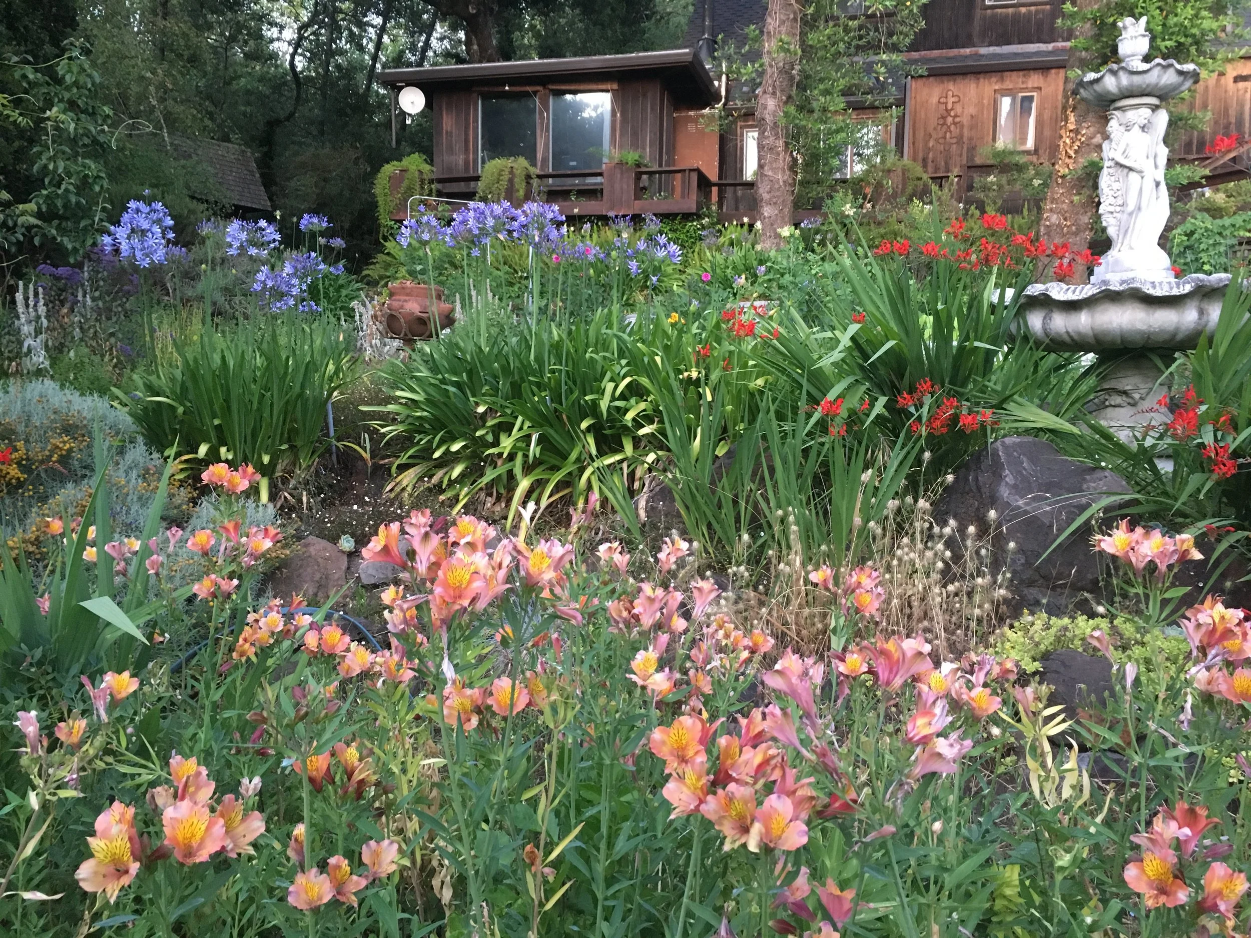 Garden. (Copy)
