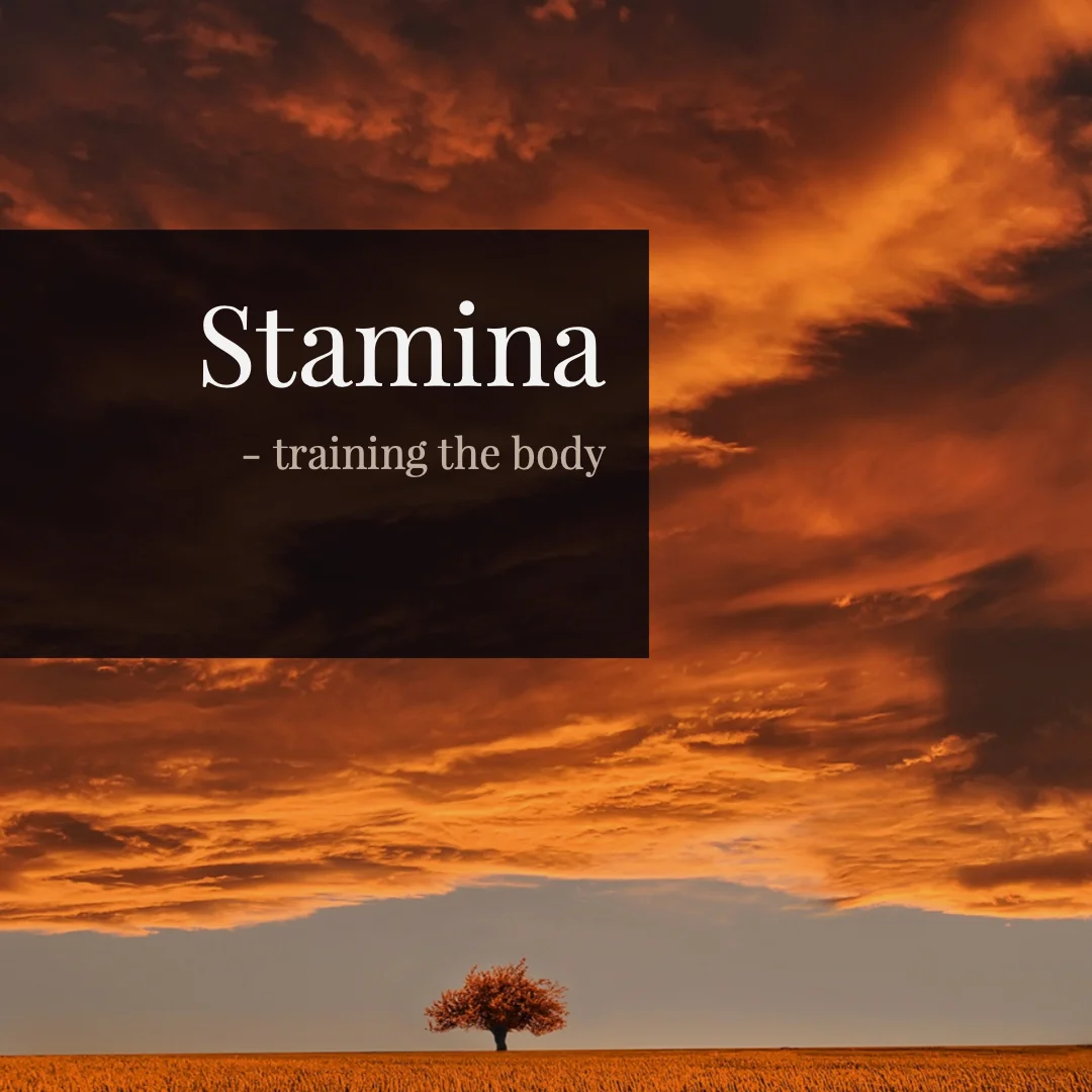 Stamina = Endurance + Economy
