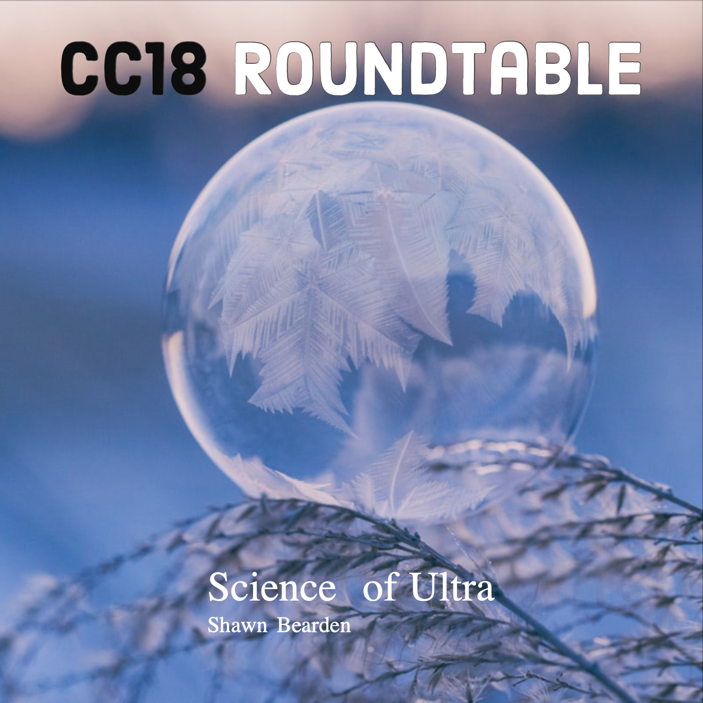 CC18 Roundtable