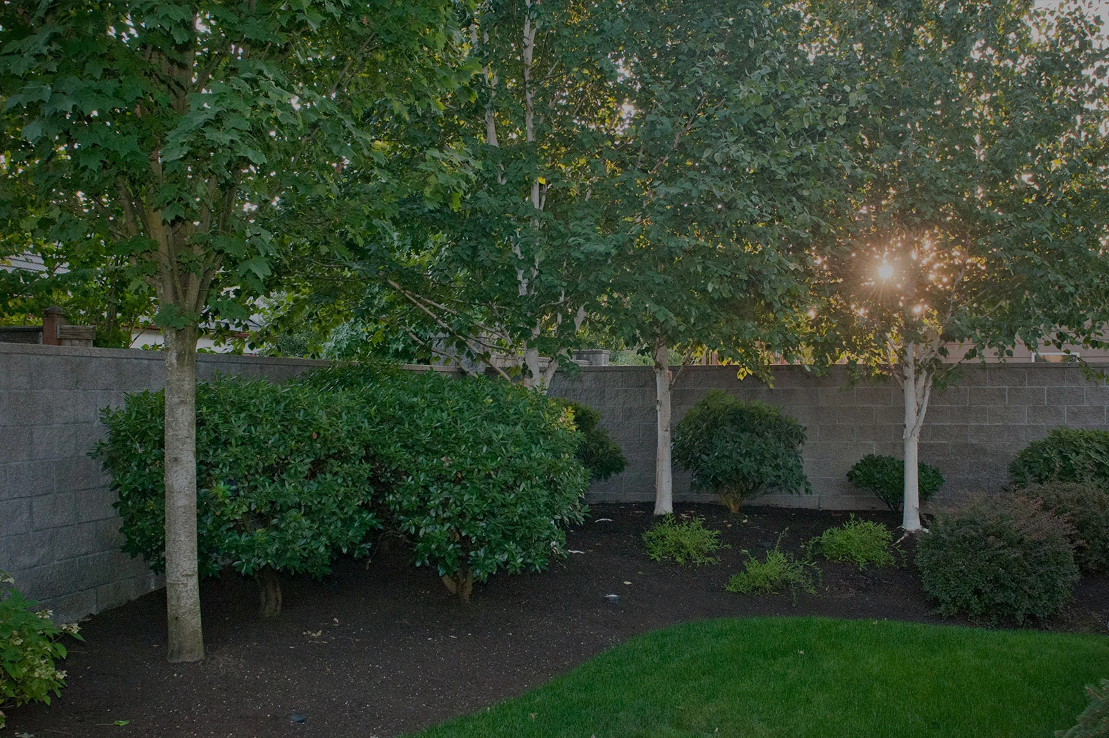 Glass Tree Care & Spray Service, Inc.