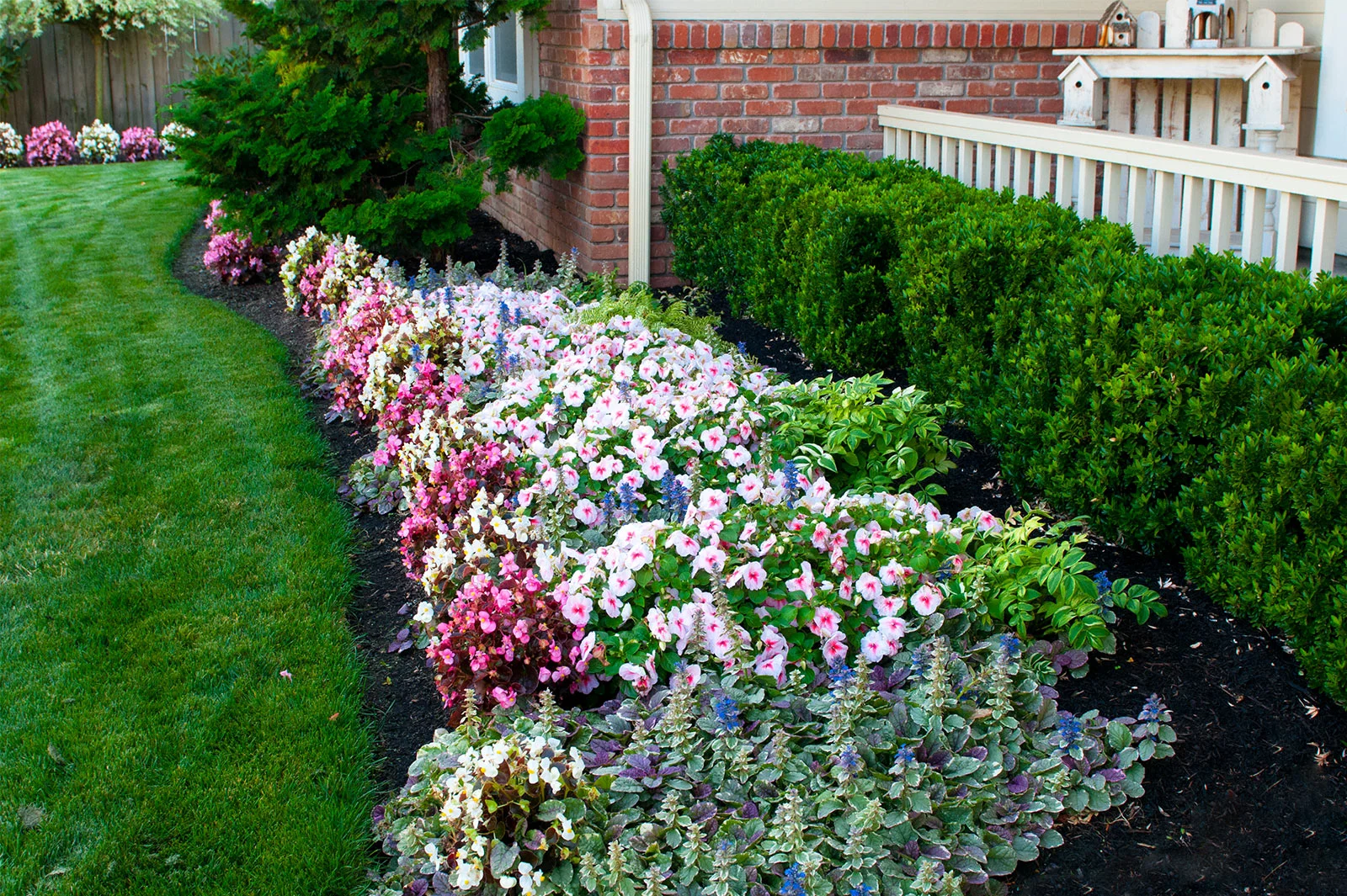 Glass Tree Care & Spray Service, Inc.