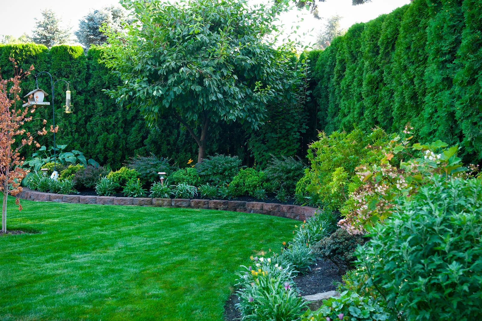 Glass Tree Care & Spray Service, Inc.