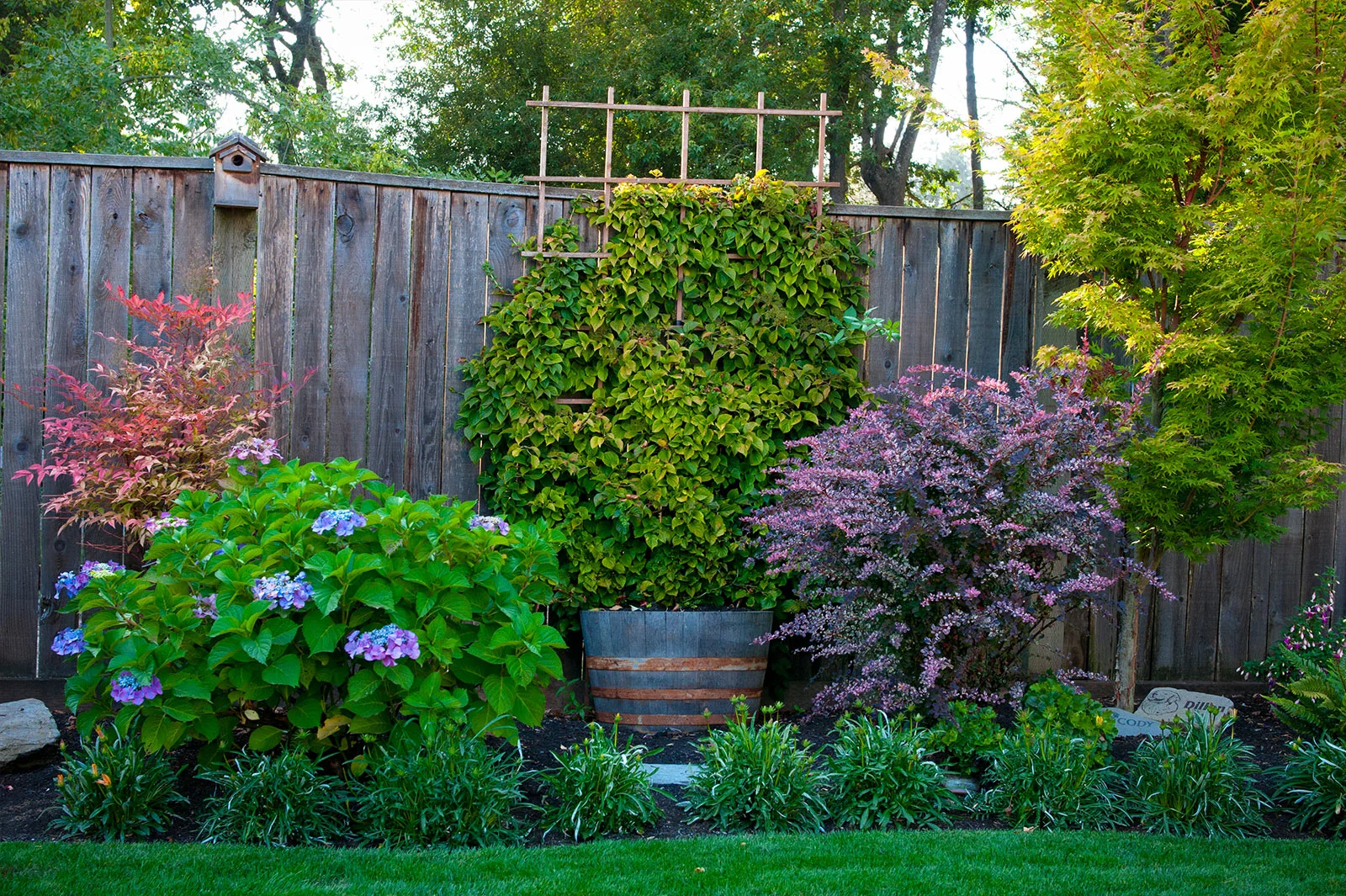 Glass Tree Care & Spray Service, Inc.