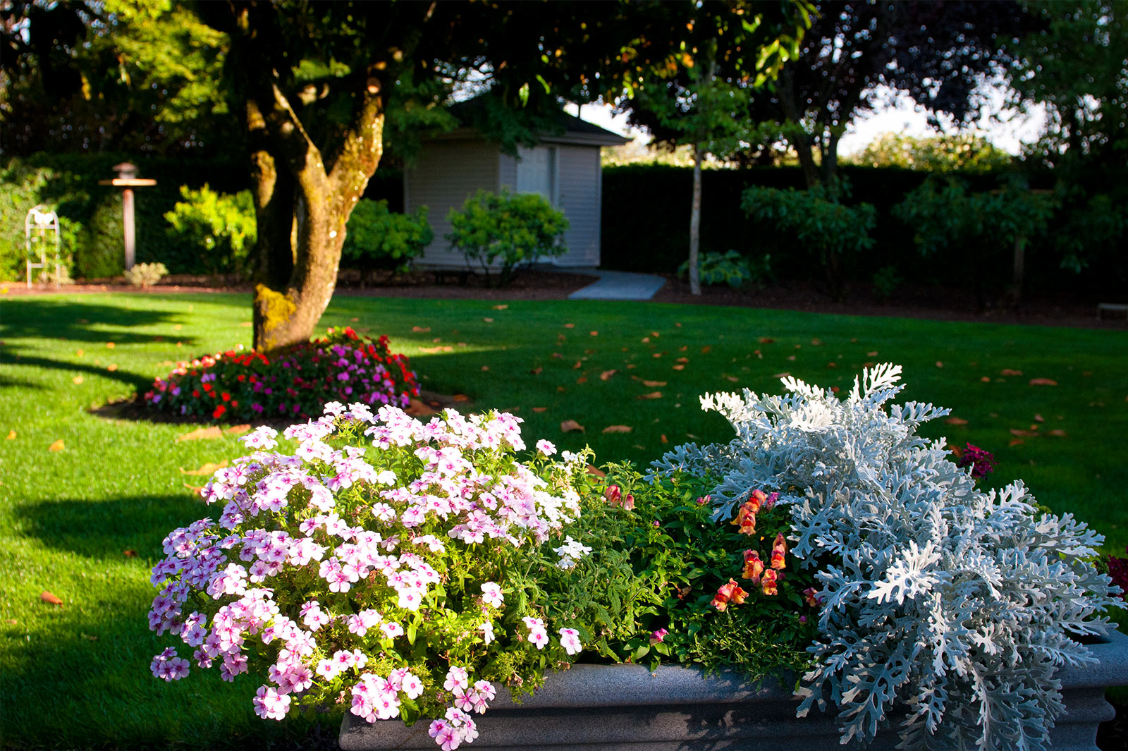 Glass Tree Care & Spray Service, Inc.