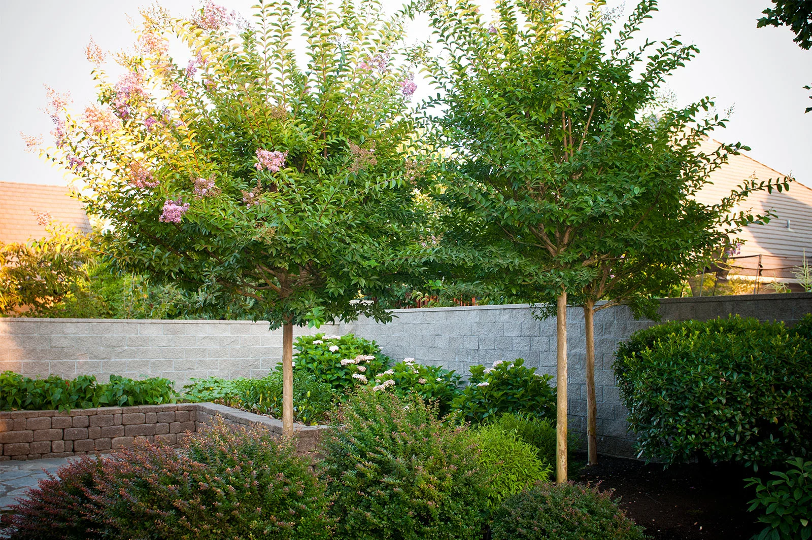 Glass Tree Care & Spray Service, Inc.