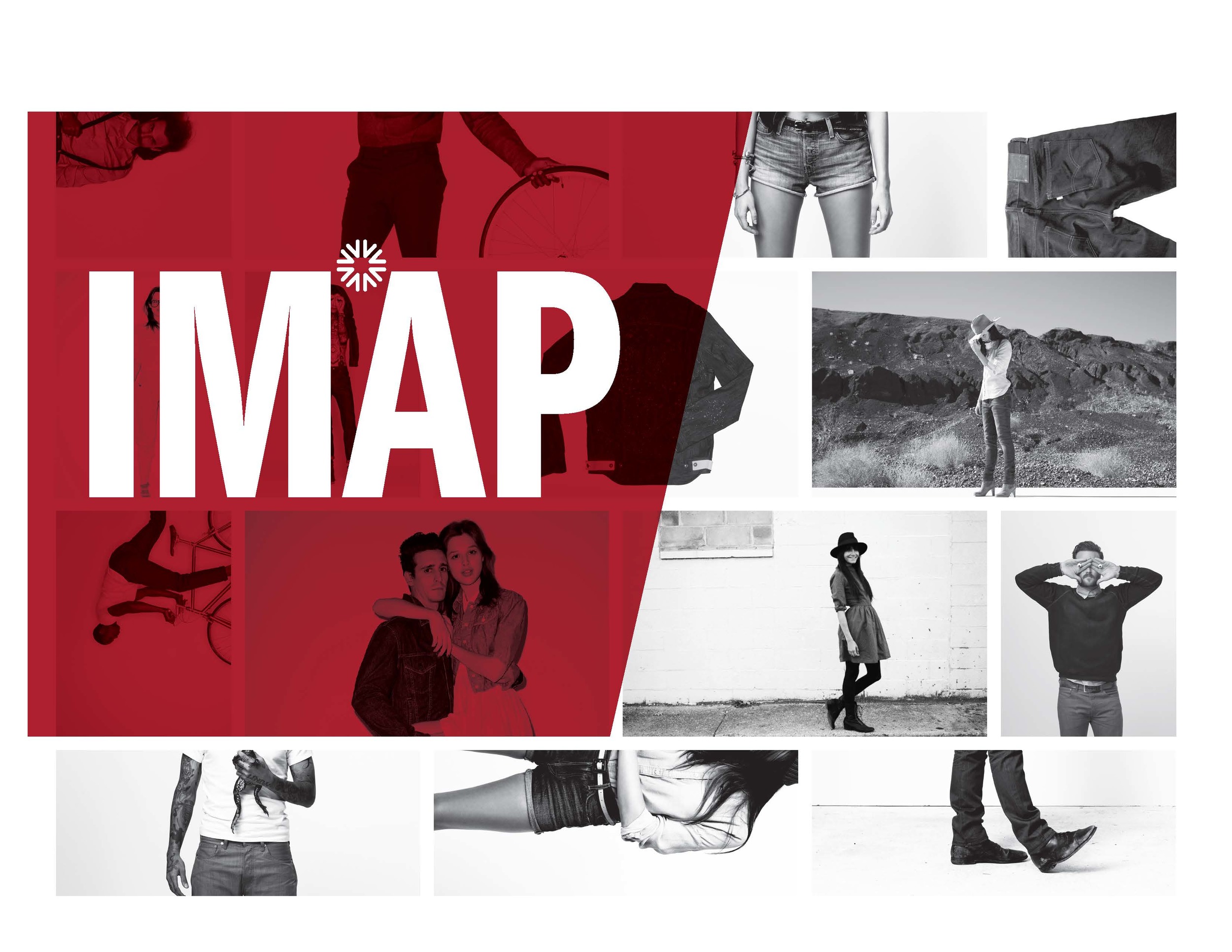 05_Levis_IMAP_ProjectRecap_EX_Page_01.jpg