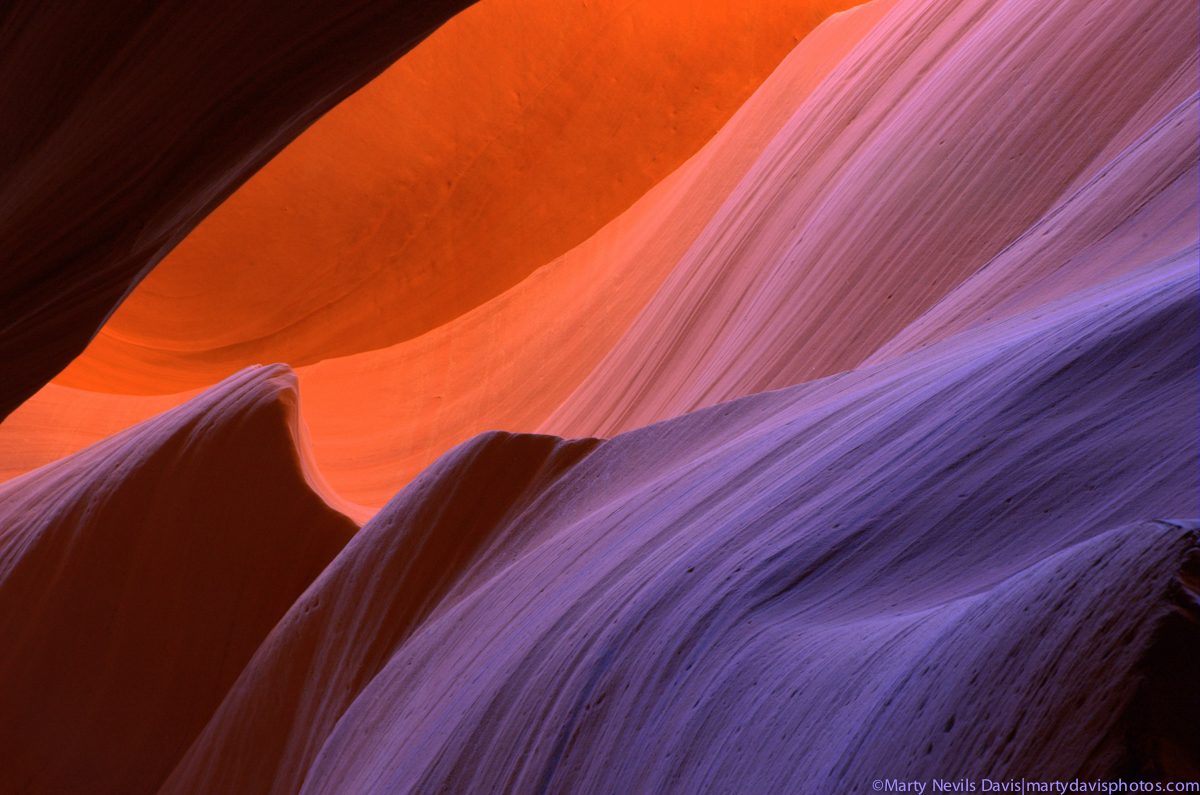 antelope_copyright marty n davis-4458.jpg