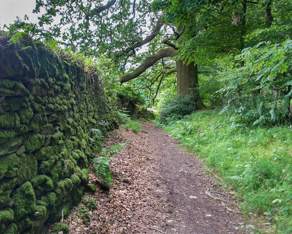 hiking in england-7975.jpg