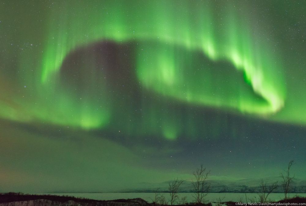 aurora HR-2595.jpg