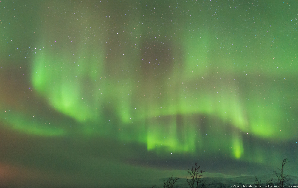 aurora_ LR 1000px-2599.jpg
