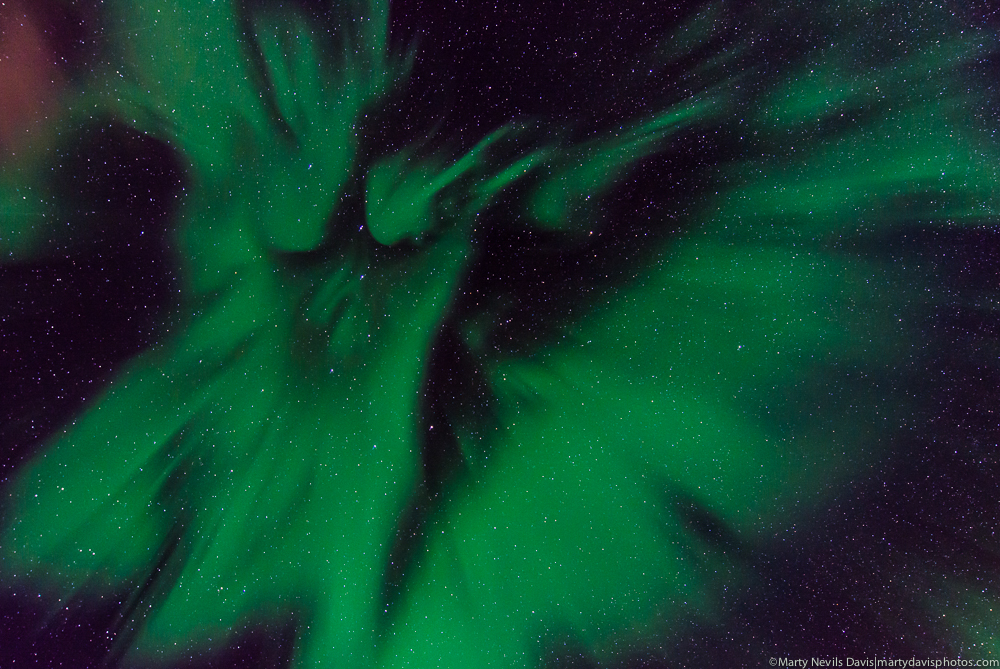 aurora_ LR 1000px-4663.jpg