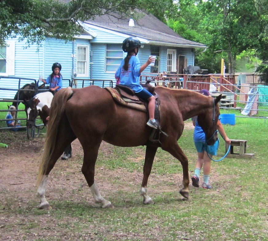 Horse & Pony Camp 331cr.jpg