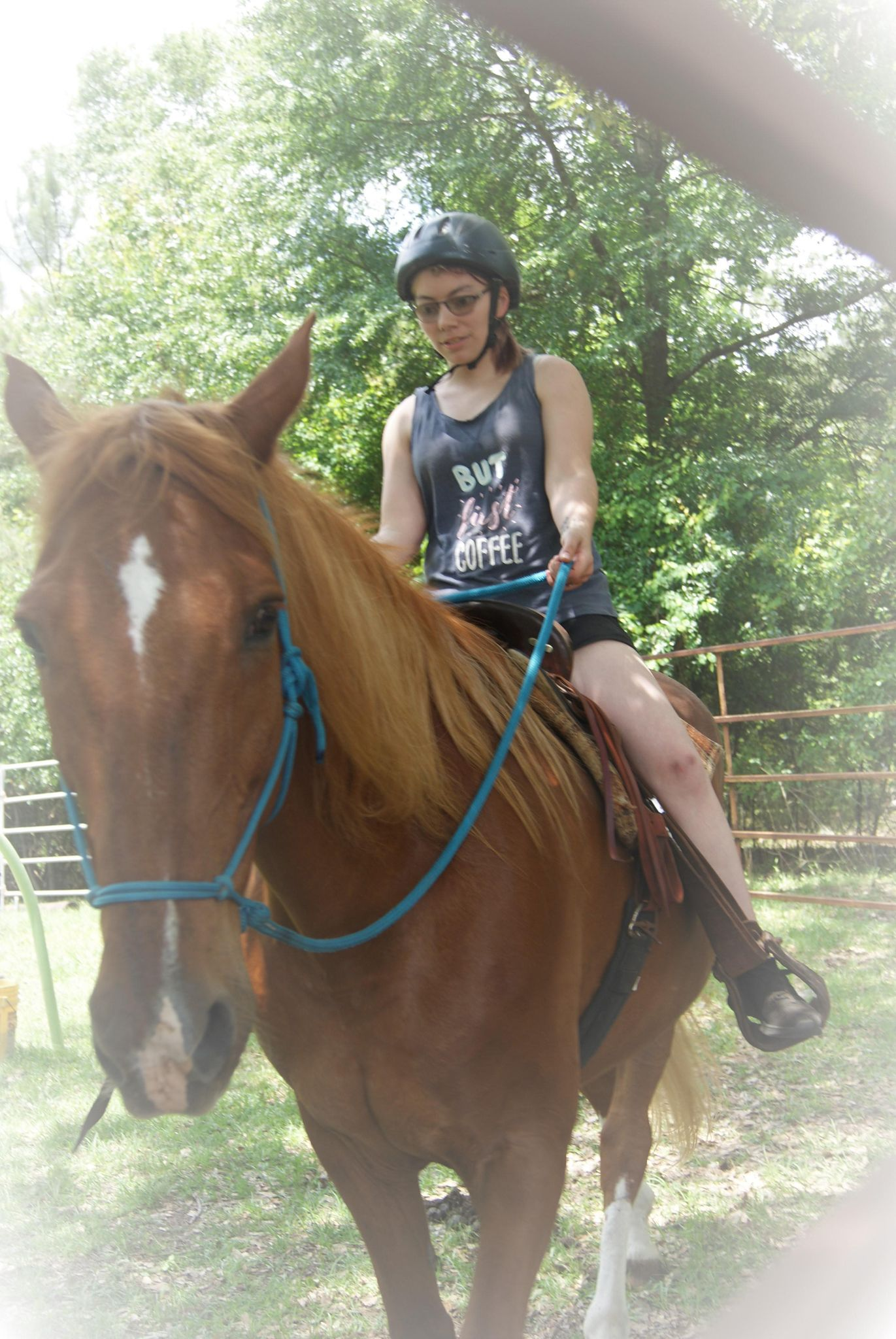 horsemanship lessons.png