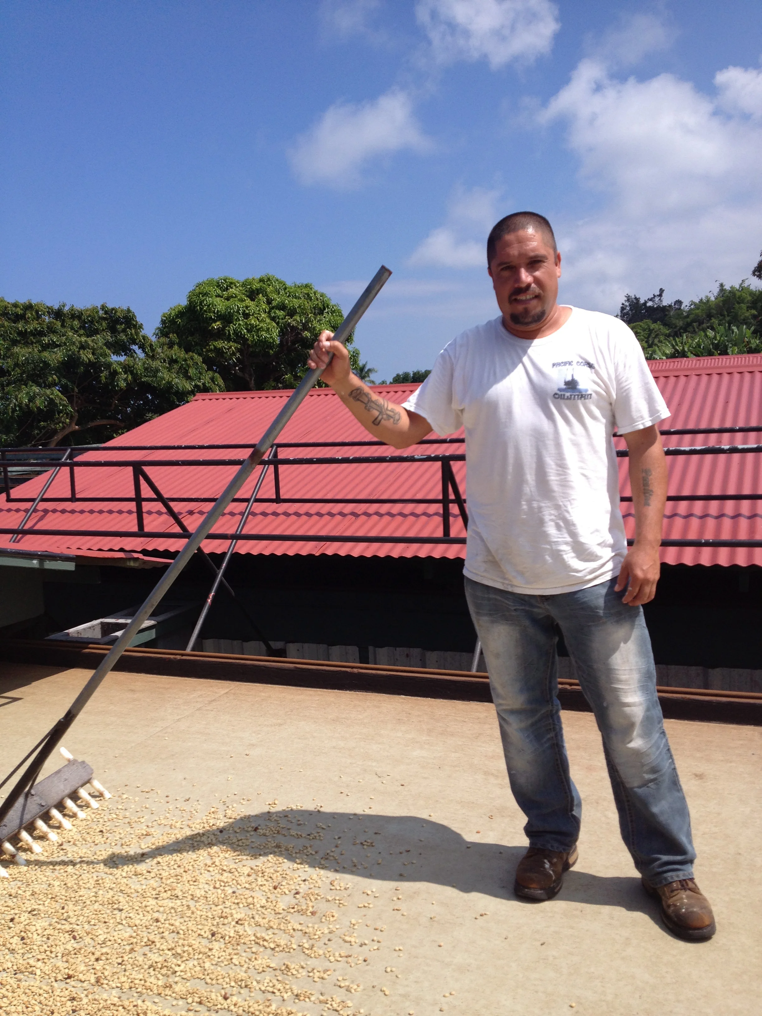 Angel Garza (Mexican). Coffee Worker. BIg Island.