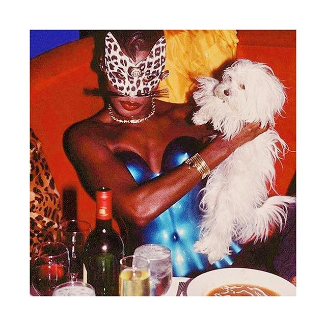 a mood if there ever was one 🐆#peachroommiami #popupdisco #comingsoon