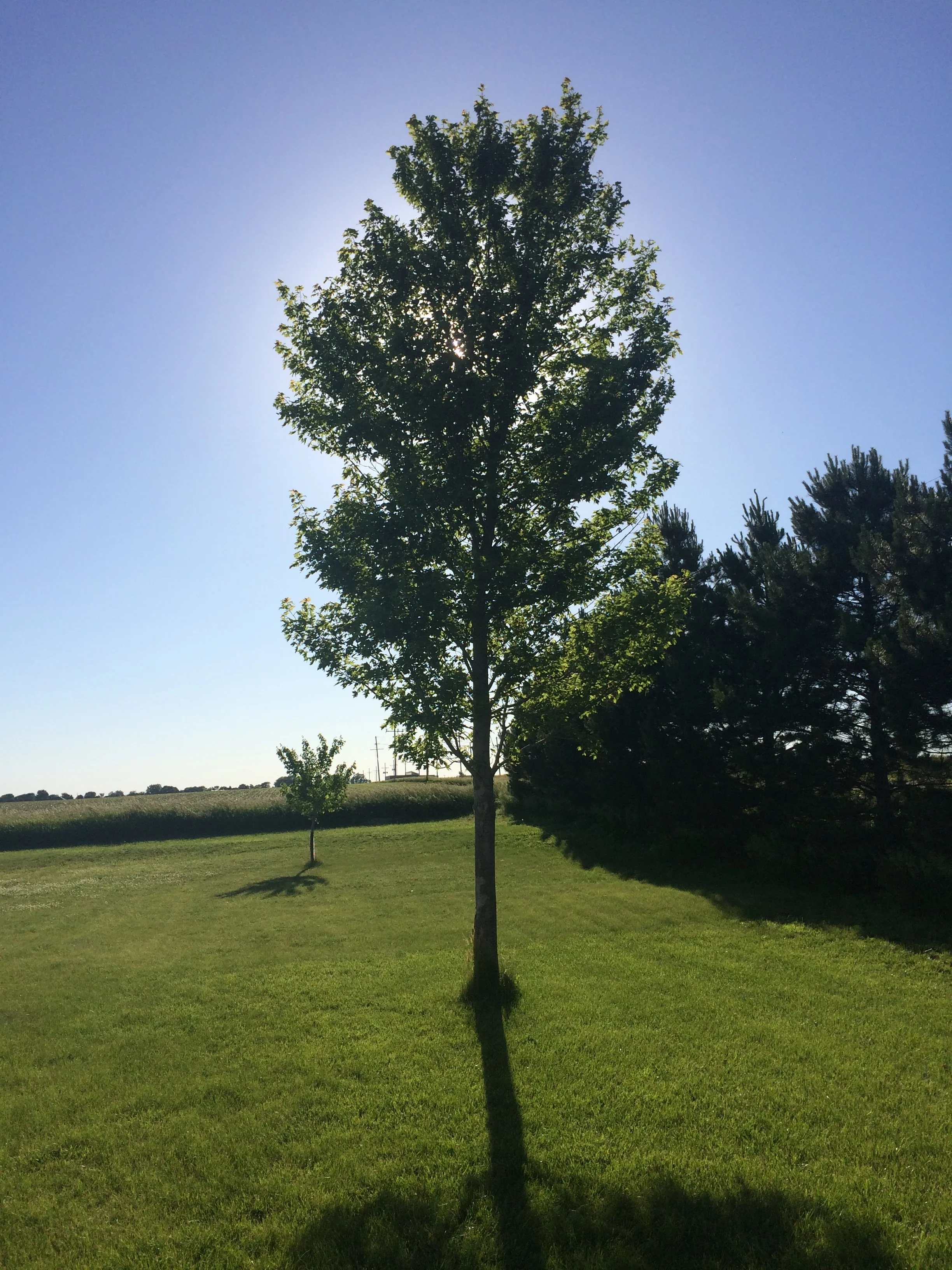 Living Life in Transition