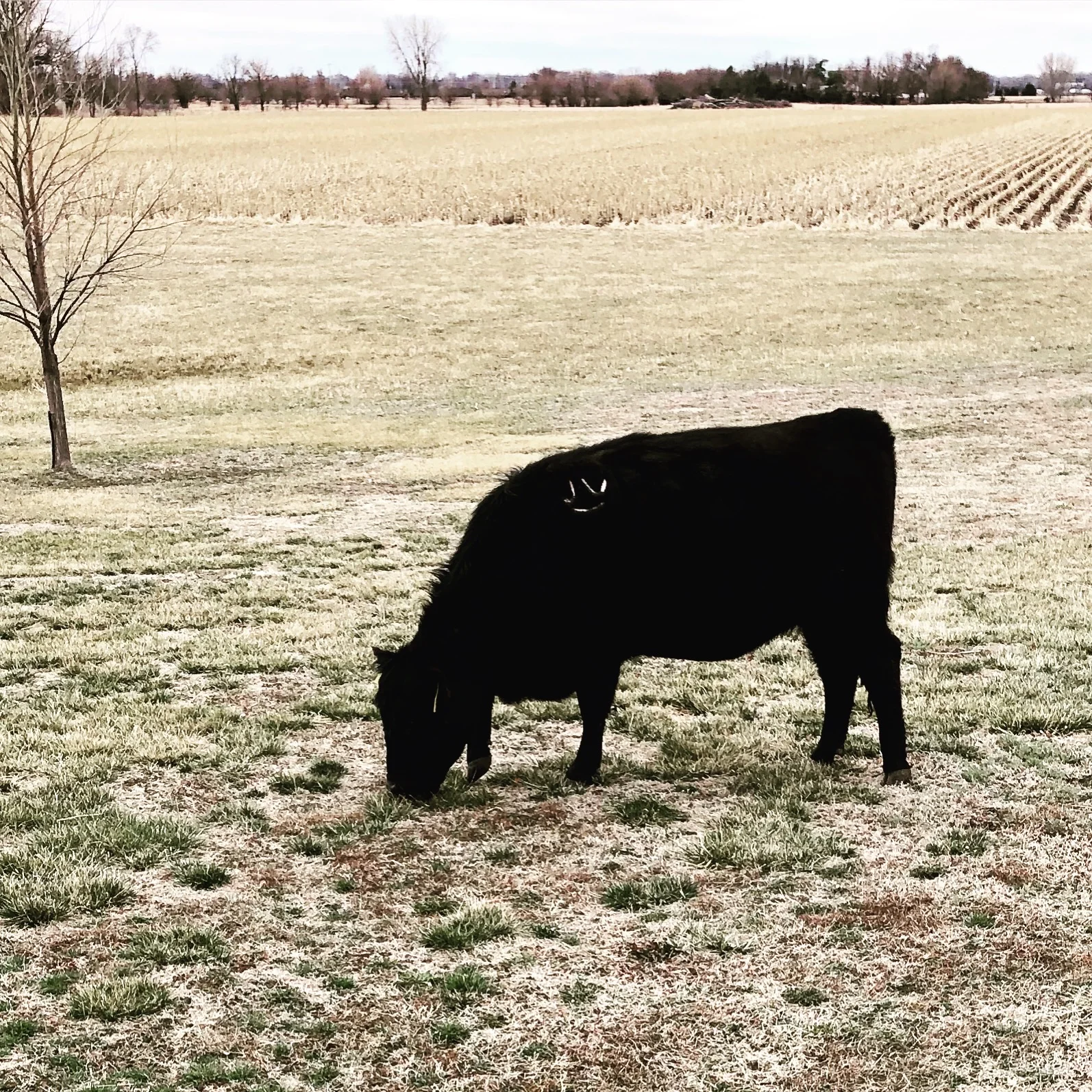 I don’t feel old, you feel old