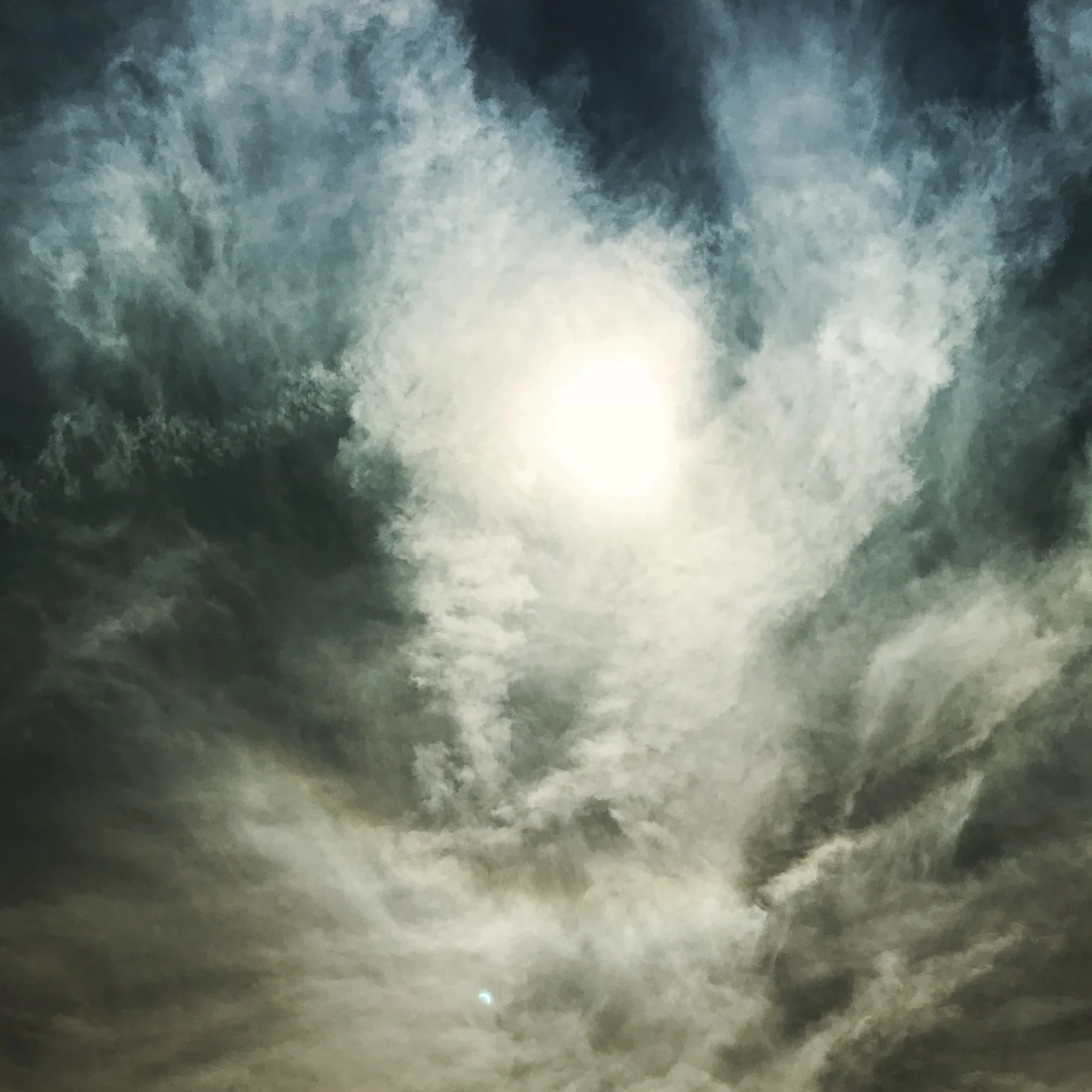 Foxes in the Vineyard