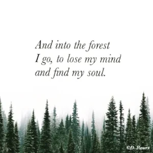 forest_mind_quote.jpg