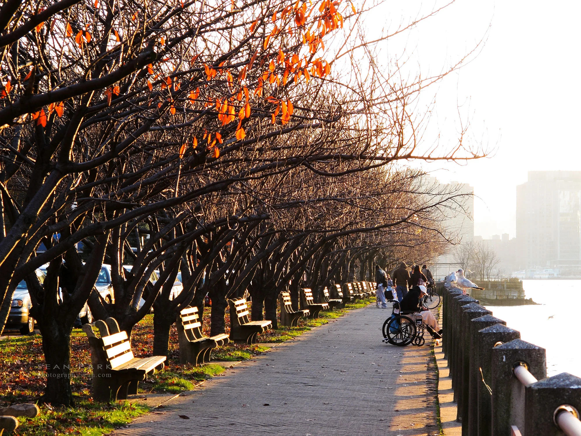 New York 2009