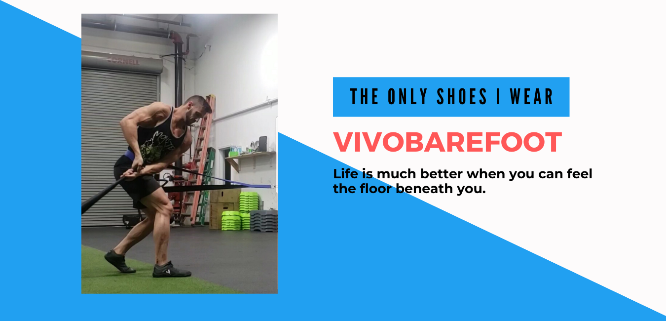 Scallop Seashell Photographer Portfolio Website.png