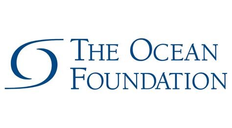 Ocean Foundation.jpg