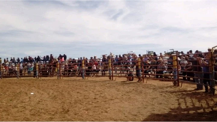 rodeo2.jpg