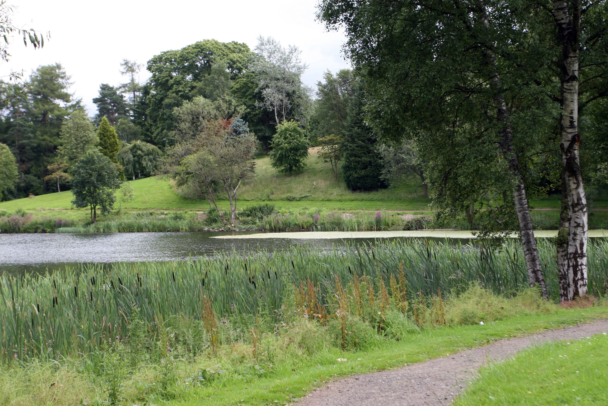 loch.jpg