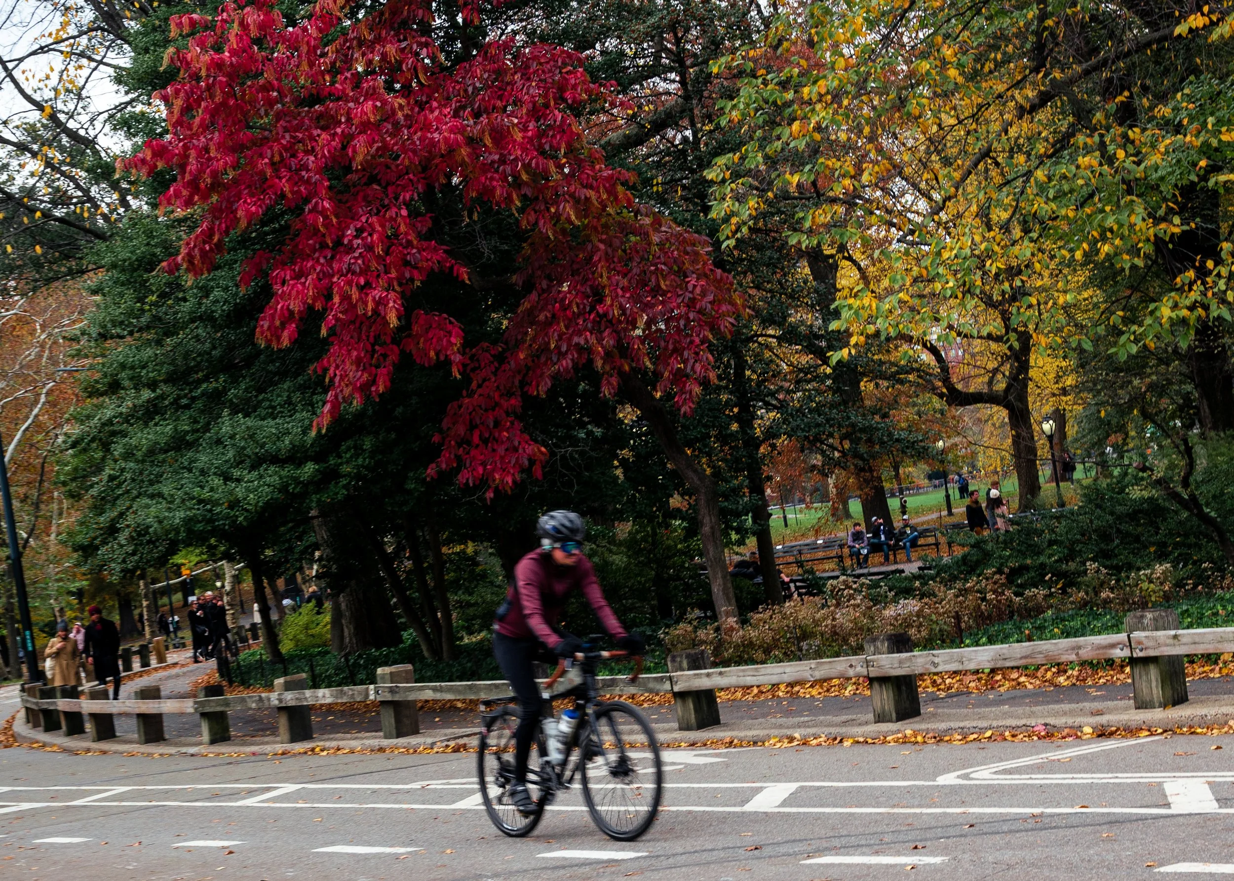 Fall Adventures in Central Park _Bride in the park-09.jpg